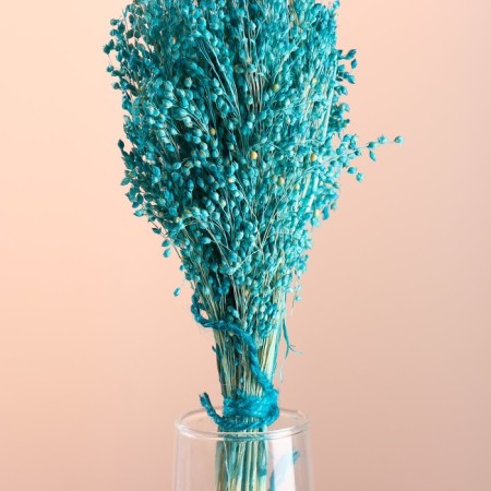 Set of dried flowers "millet", banch length 45 (+/- 6 cm), turquoise-1