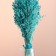 Set of dried flowers "millet", banch length 45 (+/- 6 cm), turquoise