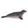 Figure Konik "Long -Maily Seal"