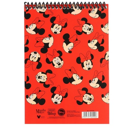 Notepad A5, on the crest, 40 sheets, Minnie Mouse-6