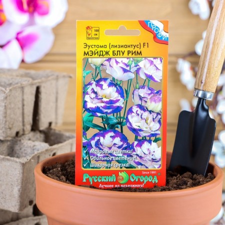 Seeds of Eustoma Flowers Cryngear Maj Blue Rome F1 (5pcs)