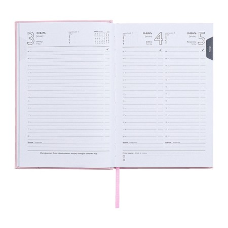 Dated 2025 diary, A5, 176 sheets of Escalada, a solid cover of artificial leather with foam rubber, pancake embossing, liesse, block 70 g/m2, pink-11