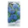 Flower seeds of cornflower "Laguna", 0.2 g