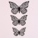Set for decorating "Butterflies", 12 pieces, black color