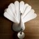 Qualy Peacock Keywater, White Color