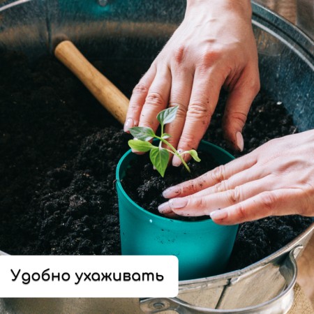 Set for seedlings: glasses of 500 ml (8 pcs), pan 40 × 20 cm, color mix, Greengo-4