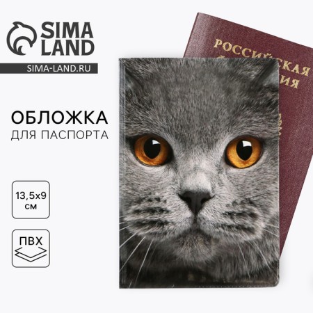 Cover for passport "Cat" (1 pc)
