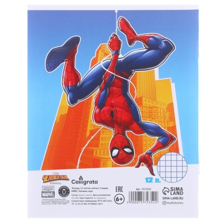 Gift set for a boy, 10 items, Spider-Man-4