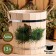 LIPS -13 -liter -panel, plastic insert, stainless rim, rope handles, "spruce branch"