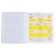 Subject notebook, 48 sheets, cage, geometry, Erichkrause "BENFORMED", plastic cover silk-screen cover, Bellar Beliges 100%, info block