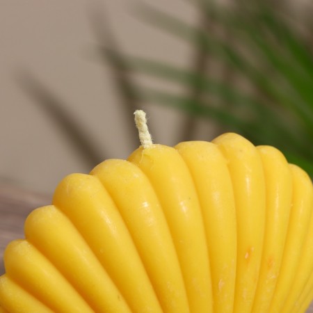 Candle "Small shell" 9x4x7.5 cm, soy wax mix-3