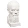 Gypsum figure famous people: Bust of Dostoevsky 13*8.5*10.5 10-194