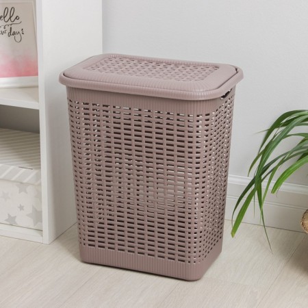 Besnaya basket with a lid, 30 l, 37 × 26 × 46.5 cm, color mix-5