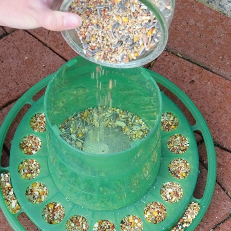 Bunker feeder for poultry for 2 kg, plastic-4