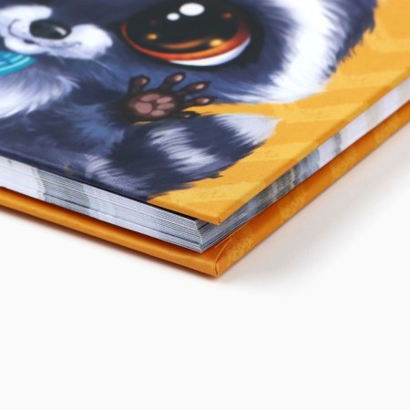 Notebook on the lock "Raccoon", A6, 50 sheets.-4