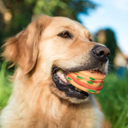 Brying toy "Hamberger with salad" for dogs, 9.5 cm-4