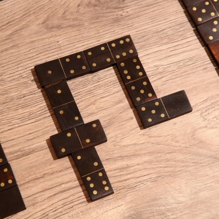 Game of board "Domino" in a casket 22x8.5x6.5 cm, mane-5