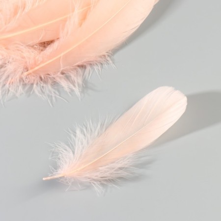 A set of goose feathers 13-18 cm, 20 pcs, pink-3