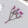 Artificial plant for creativity "chicory" set of 8 pcs fuchsia 10 cm