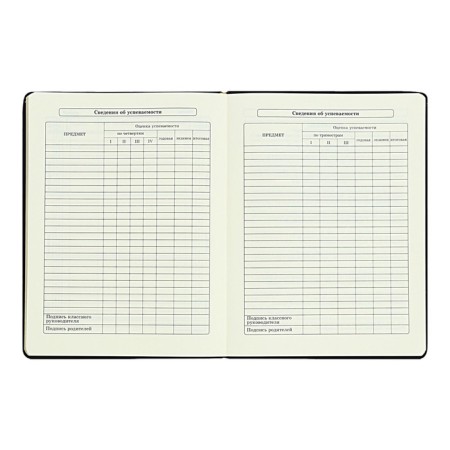 Diary 1-11 Grade "Kisul Vasily", artificial leather, foam, foil embossing, 48 sheets-9