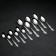 Set of cutlery "Slavyanka", 24 items, decorative box, silver color