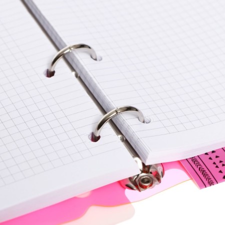 A notebook on rings A5 120 sheets in the Lorex "Neon. Pink" cage, with a change of block, a plastic cover, with stickers-6