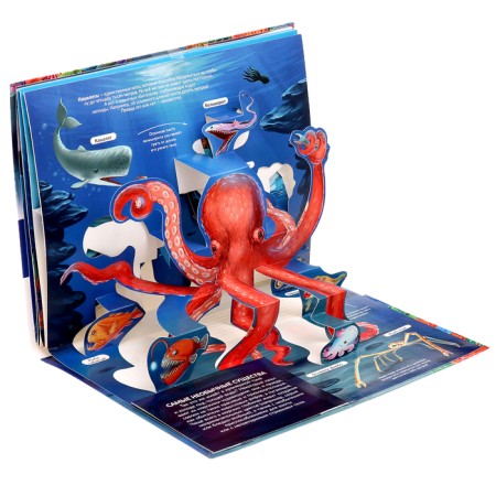 3D Encyclopedia Panoramka "Sea"-5