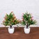 Bonsai in the pot "Small flowers" 9x25 cm, mix