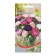 Flowers of Astra "Bouquet mixture", 100 pcs