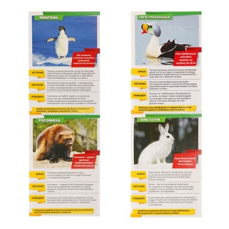 Mini-encyclopedia "World of Animals", 8 pcs. 20 p.-7