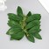 Artificial plant for creativity "Hebelly leaves" set of 6 pcs 13.5x16 cm