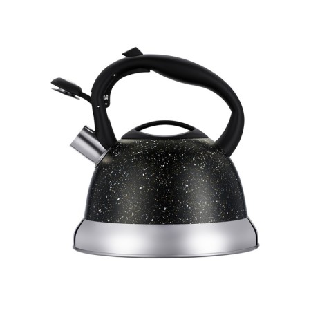 Teapot Regent Inox Tea, with a whistle, 2.8 l + a titt gift for brewing tea-2