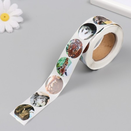 Stick Paper "Wild Animals" d = 2.5 cm 500 pcs in roll-4