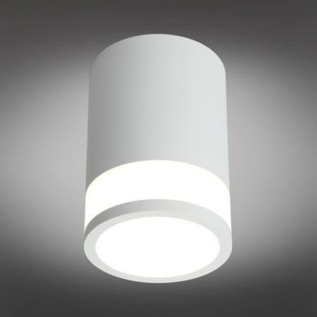 Lumber OROLLI LED 4000K 12W-1