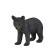 Figure Konik "American Black Bear"