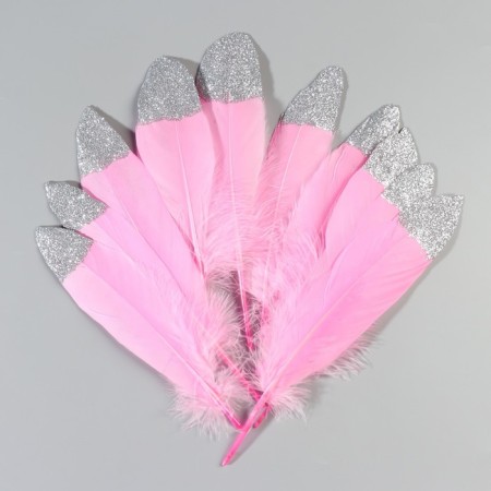 A set of goose feathers 15-20 cm, 10 pcs, bright pink with silver crumb-1