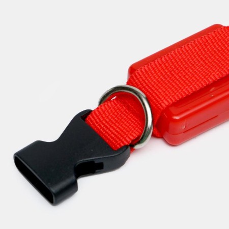 The collar luminous narrow for small dogs, 26 x 1.5 cm, red-3