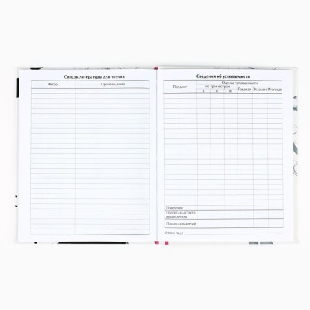 School diary for grade 1-11, in an integrated cover, 40 liters. "Anime. Girl"-3