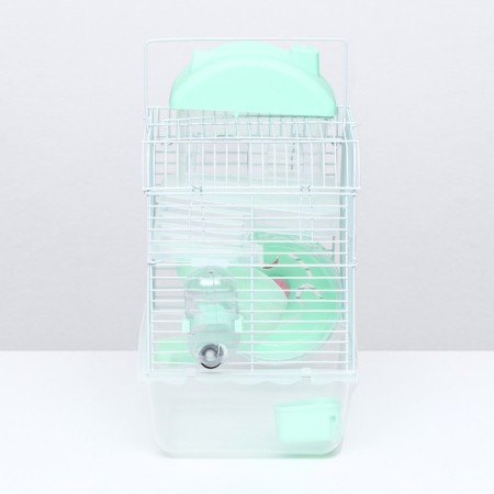 A cage for rodents "Pigger", 23 x 17 x 33 cm, transparent, green content-1
