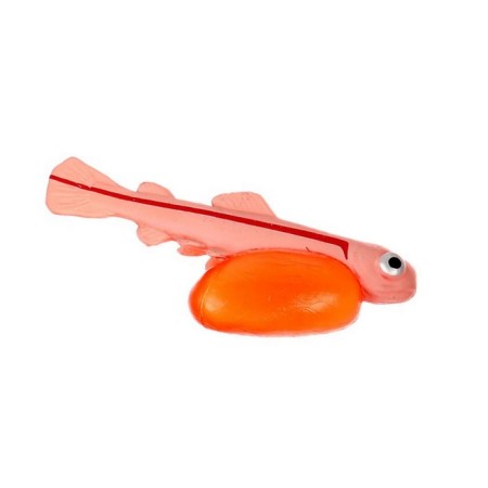 Training set "Stages of fish development" 5 figures-4