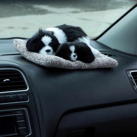 A toy on a car panel, dogs on a pillow, white and black color-3