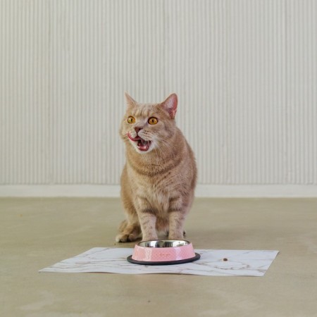Metal bowl for a cat with a non -slip base Love You, 235 ml, 15x3.5 cm-5