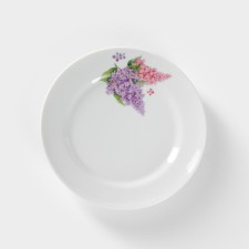 Porcelain plate 