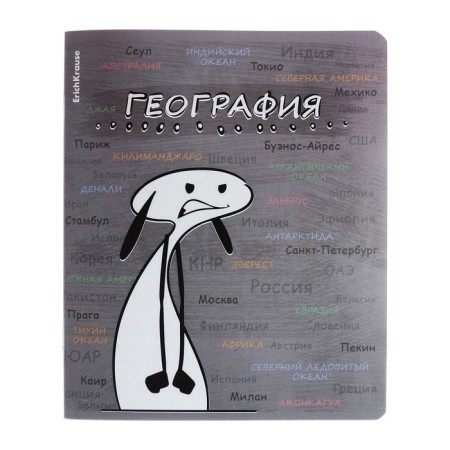 A set of subject notebooks 48 sheets, 12 pieces, Erichkrause "Chubrik", plastic cover silk-screen covers, Blok Offset 100%, information block-12