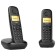 Phone Siemens Gigaset A170 Duo Black Rus Dect 2 tubes