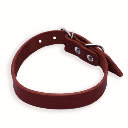Collar of a single-layer leather, 54 x 2.5 cm, Osh 35-45 cm, brown-1