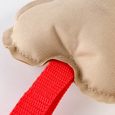 Bone toy toy, cap, 25 x 10 cm-3