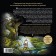 Elves, gnomes and other inhabitants of old England. Shironin Yu.