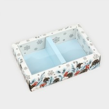 Folding box with a plastic lid 