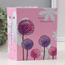 Photo album for 100 photos 